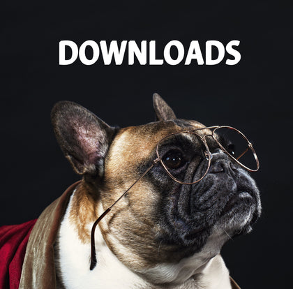 OUR TOP DOWNLOADS